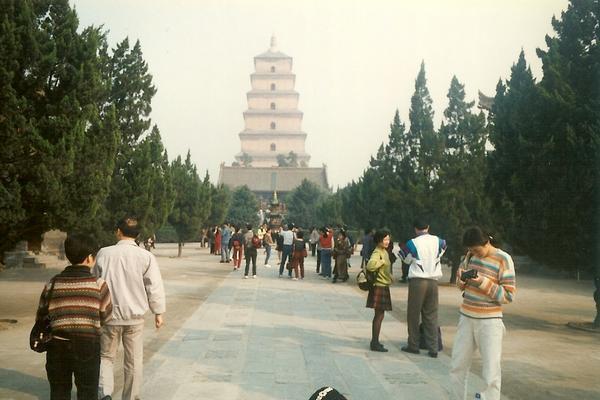 Wild Big Goose Pagoda-2. 