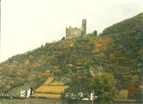 Rhine Valley Castle.
