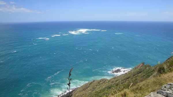 The two oceans at Cape Rienga