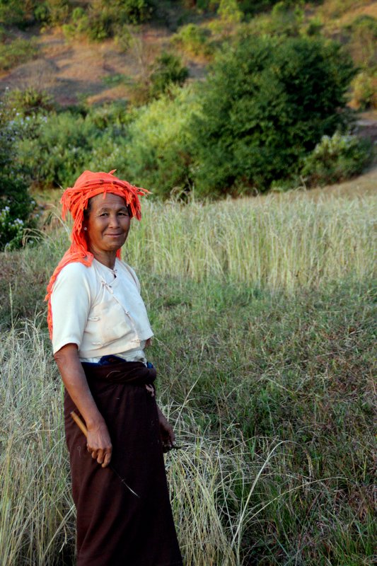 Colourful Lady Working in Fields