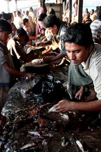 Sittwe Fish Market
