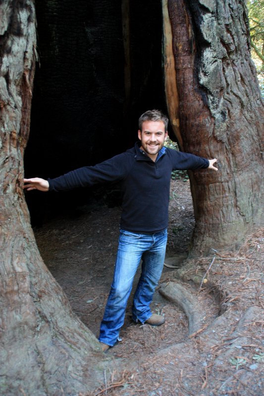 Mike in a Redwood