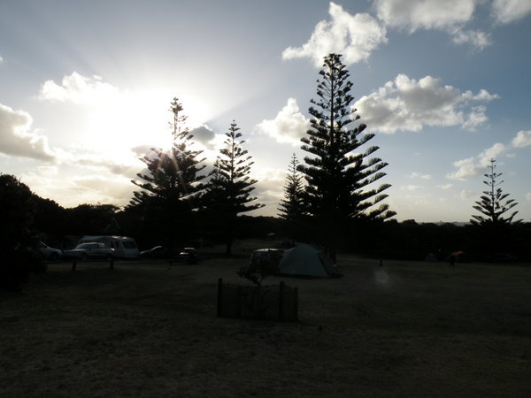 Muriwai Beach Campground