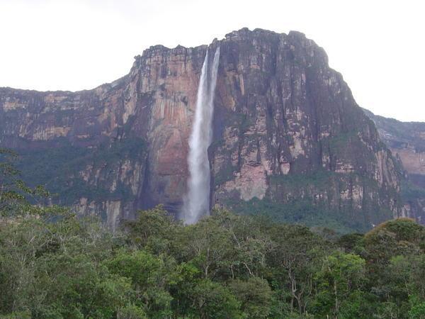 Angel Falls from camp
