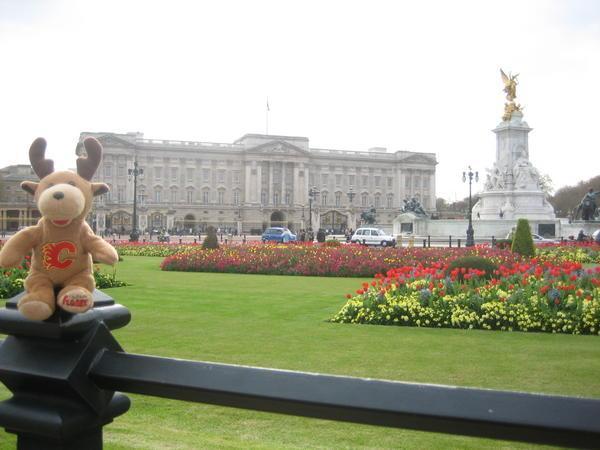 Little Mikka at Buckingham Palace
