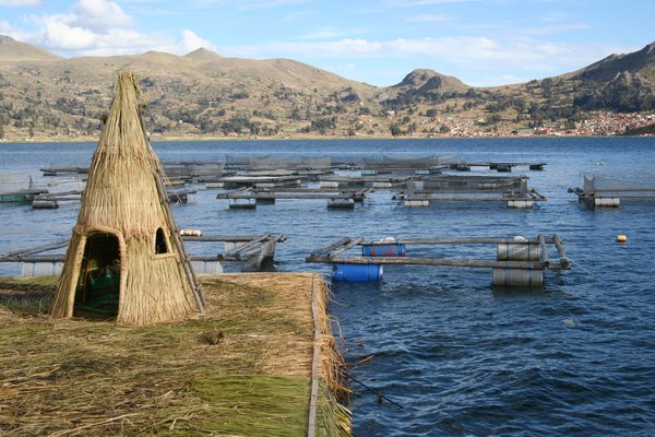 lake Titicaca panorama