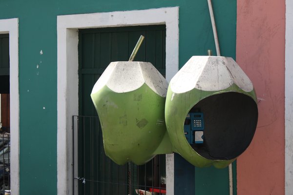phone boxes shaped like coconuts
