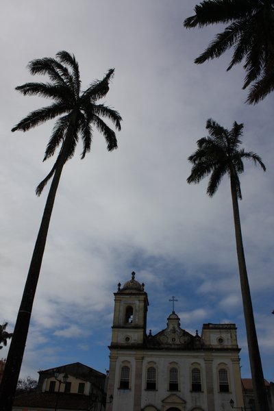 palms and church