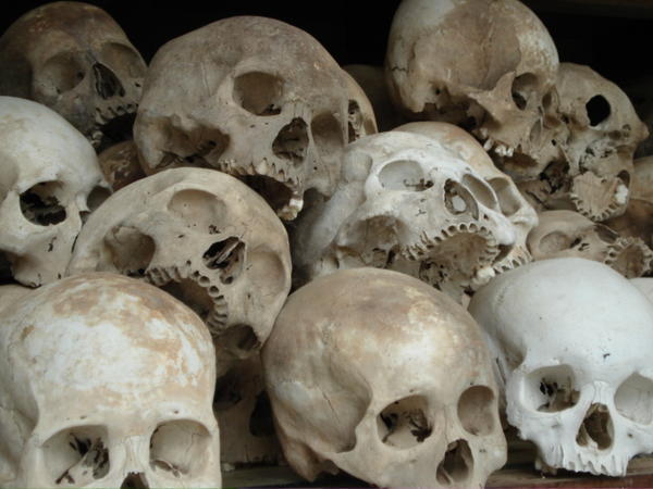 Killing Fields - skulls