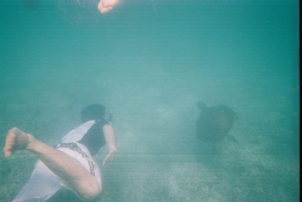 Luke swimming with turtle