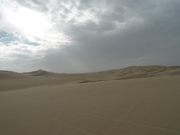 dunes from the buggy