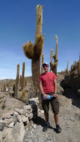 cactus taller than Luke