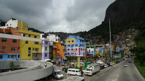 Rochicina favela