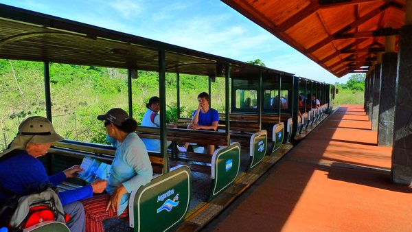 train in Argentinian park