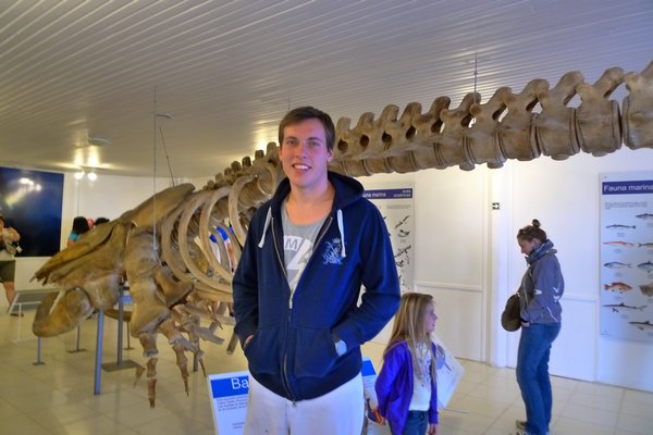 Luke and southern right whale