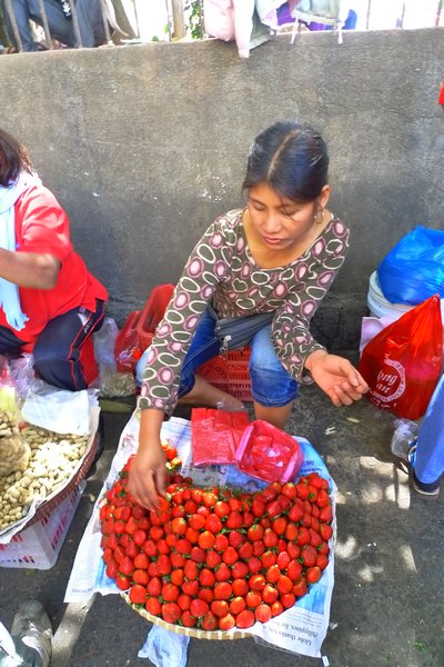 strawberries for sale