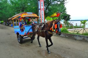 horsie on Trawangan