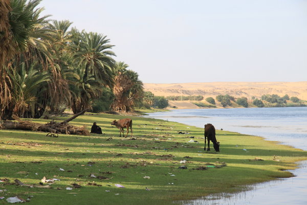 Somewhere along the Nile