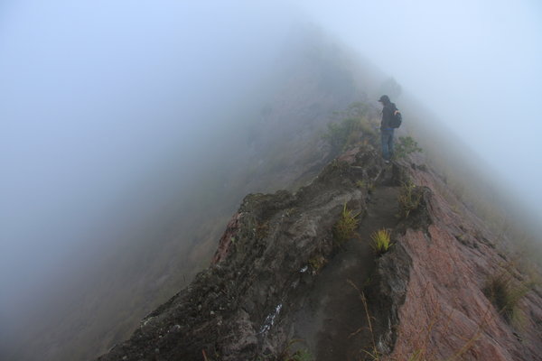 Walking on the Edge of the Volcano