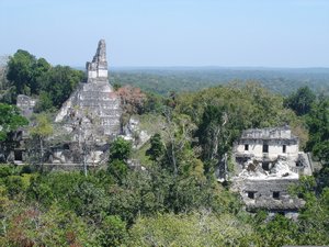 Tikal - View from Pyramid 2