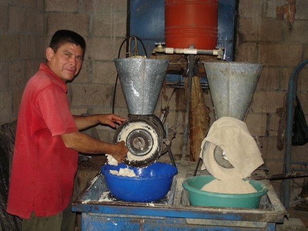 Tomas grinding corn to make tortillas