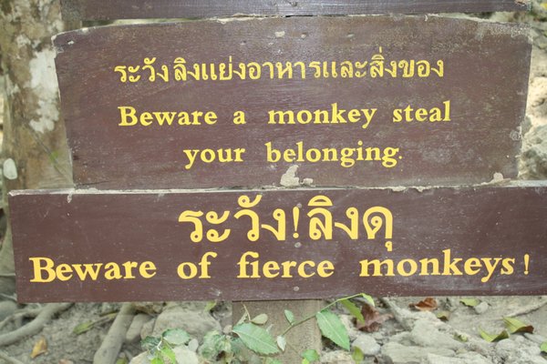 Cuidado com os macacos!