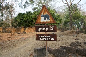 cuidado: elefantes