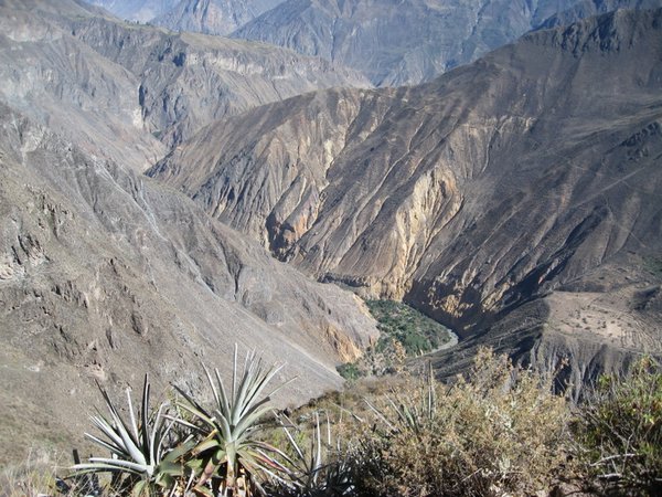 Blick in den Colca Canyon