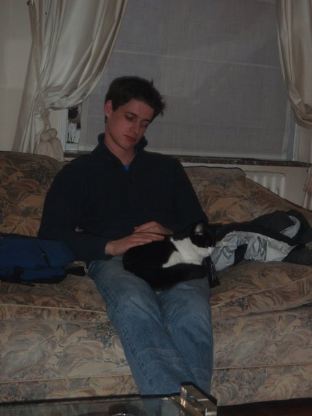 Tim LOVES cats.
