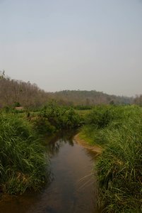 This is the river we went bamboo rafting on