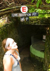 Scorpion pit