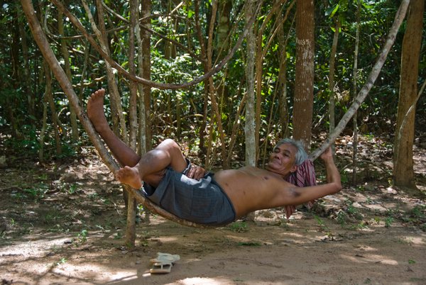 Man sleeping in a branch