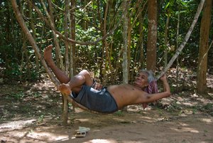Man sleeping in a branch