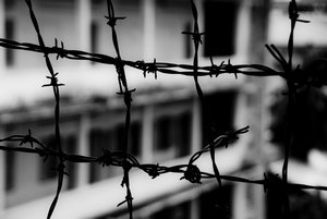 Barbed wires