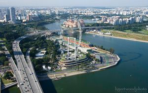 The Singapore flyer.