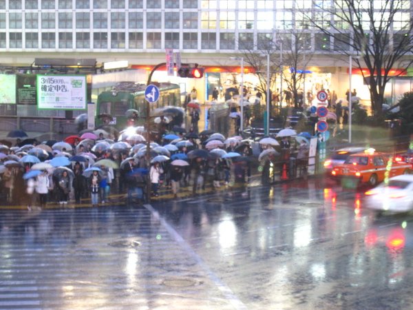 Shibuya intersection