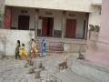 Jaipur- walking up to Monkey Temple