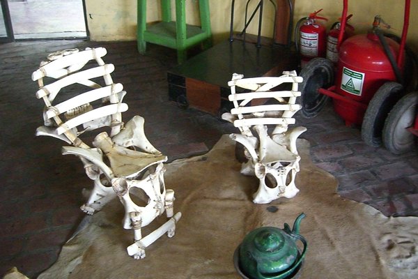 Bone chairs
