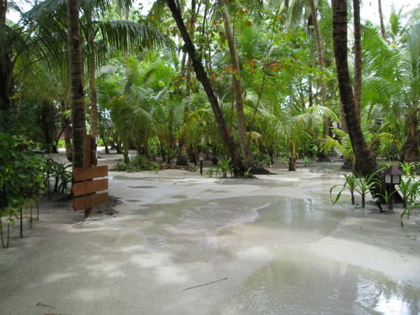 Flooded paths