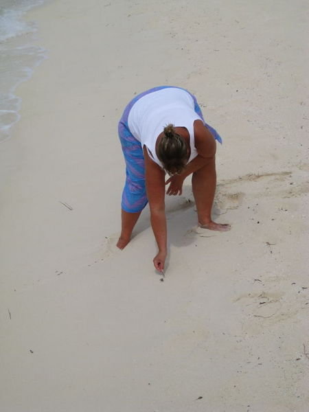 Playing with the crab