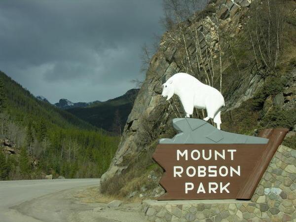 Mt Robson Park