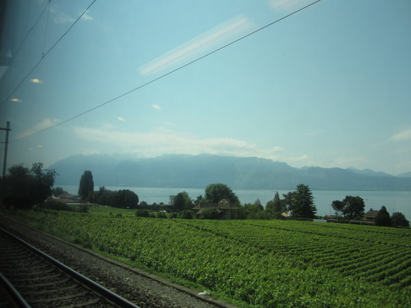 Train views to Montreaux