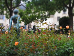 Adorable garden in Le Marais