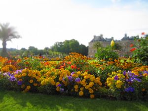 Bright and plentiful flowers in bloom at Jardin du Luxeumbourg!