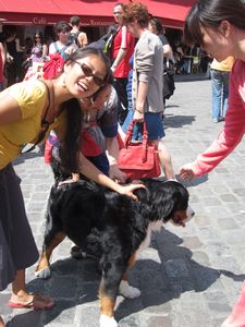I found a Bernese Mt Dog even in Paris!!