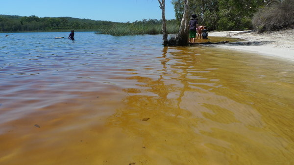  Straddy or North Stradbroke Island - Brown lake, dyed by the tea leaves. 