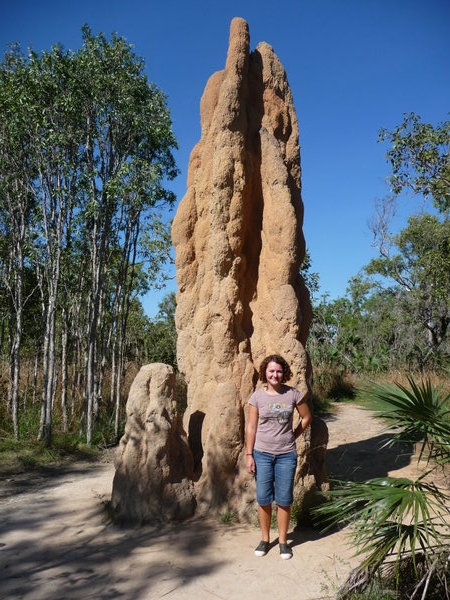 Litchfield NP - Giant termit mound