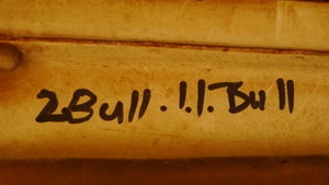 Bull catcher details