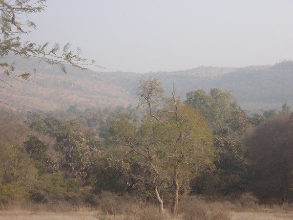 View over Ranthambore