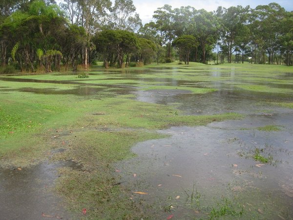 Golf Course after rain storm